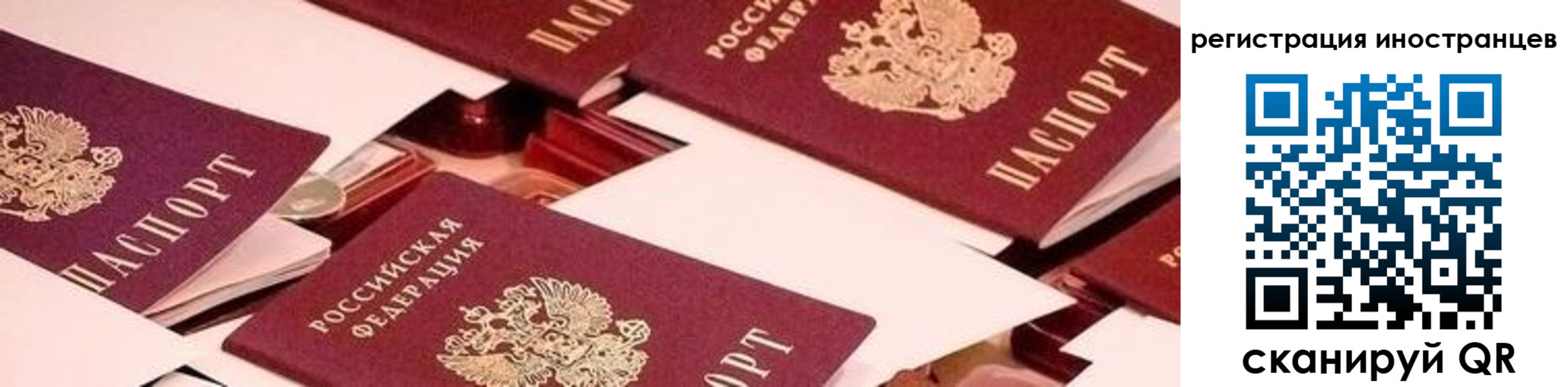 прописка поиск в Барнауле